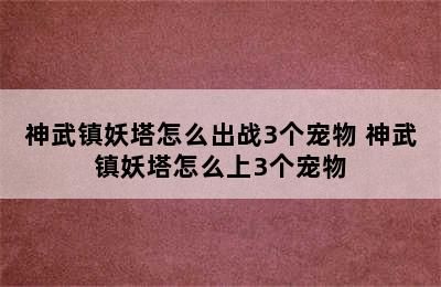 神武镇妖塔怎么出战3个宠物 神武镇妖塔怎么上3个宠物